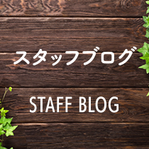 スタッフブログ