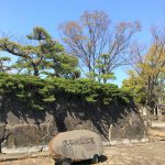 改めて見どころ満載！？な、深谷市　新島モデルハウスの詳細へ